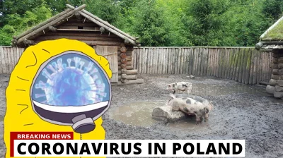 r.....y - Pierwszy potwierdzony przypadek koronawirusa w Polsce.
Pacjentka, która w ...