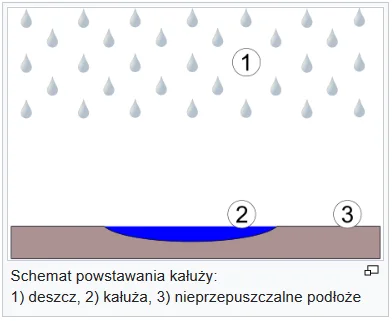 GlebakurfaRutkowski_Patrol - > kałuże to masz w dziurawej drodze a nie w torach.

@...