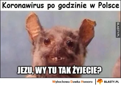 januszzczarnolasu - @skubaniutki: Rząd ma nadzieję, że w Polsce koronawirus nie przeż...