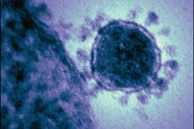 KubaGrom - Czas na kolejny przegląd artykułów naukowych o nowym koronawirusie
* Chiń...