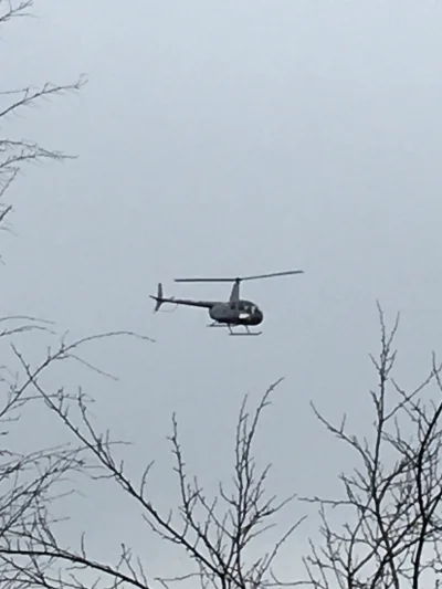 Dupaptaka - Czy wie ktoś może dlaczego taki helikopter krąży nad moją chatą od godzin...