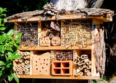 Opornik - @Megachilidae 

Przy okazji, pytanie do ewentualnych ekspertów.

Czy te...