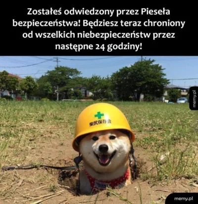 o.....r - #dobranoc miłych snów
I żebyście jutro znowu mogli tu przyjść po dobrym dni...