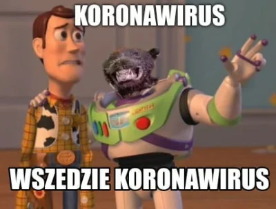 Loginsrogim - #koronawirus #2019ncov. #heheszki