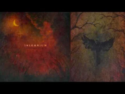 niezmarnujtlenu - Insomnium - The Killjoy
#metal #melodicdeathmetal #insomnium