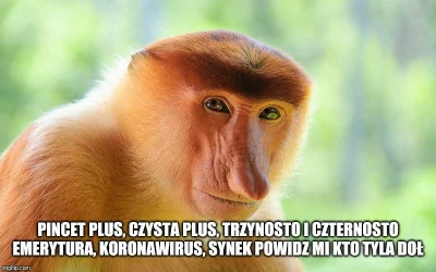 PeaK - #heheszki #humorobrazkowy #koronawirus