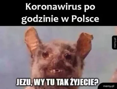 artur-grzybowski - @januszzczarnolasu: