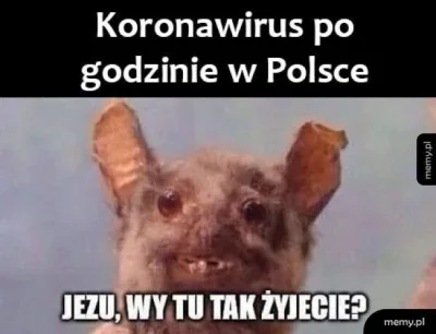 Koziol666 - @StaryWilk takie śmieszne