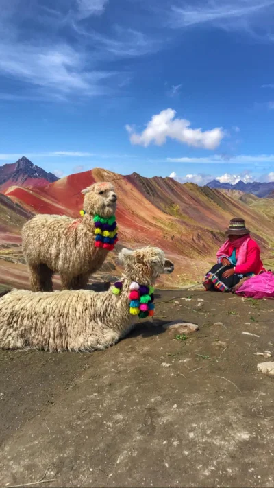 cheeseandonion - #peru