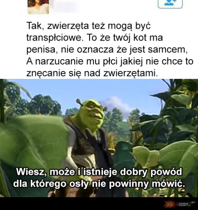 Sleepypl - #humorobrazkowy 
#heheszki 
#bekazlewactwa