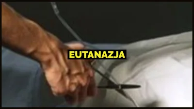 RedNews - Hey, MIrki jakie jest wasze zdanie na temat #eutanazja ?

Moze zainteresu...