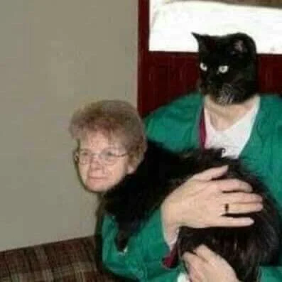 MagadaskarWHO - #kocur kox bavaseczka jo