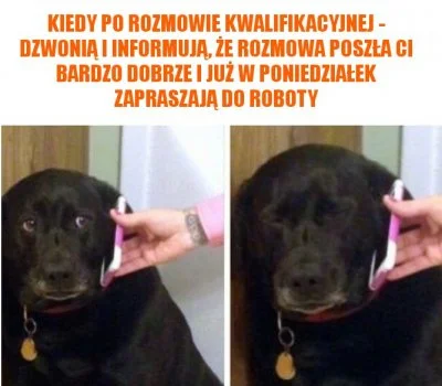 Conscribo - #rozmowakwalifikacyjna #pracbaza #heheszki #humorobrazkowy