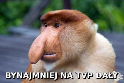 StaryWilk - #bekazpisu #polityka #tvpis #nosaczsundajski #nosacz #propaganda #heheszk...