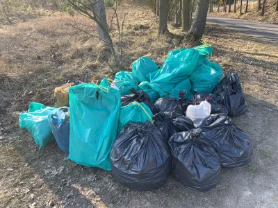 porywacz_zwlok - trzy godziny okradania lasu ze śmieci i skończyły się worki. opanujc...