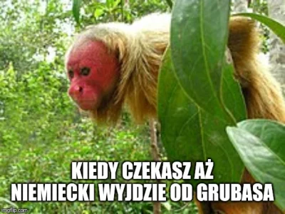 A.....i - Dzisiaj akurat aktualne xD
#kononowicz #patostreamy