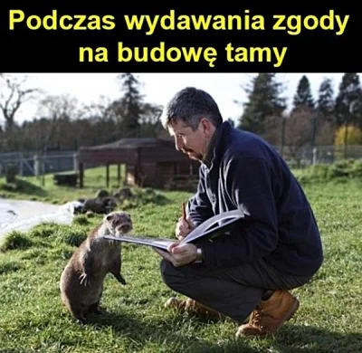 januszzczarnolasu - @Gandalf_bialy: Wściekł się, bo nie dostał zgody ( ͡° ͜ʖ ͡°)