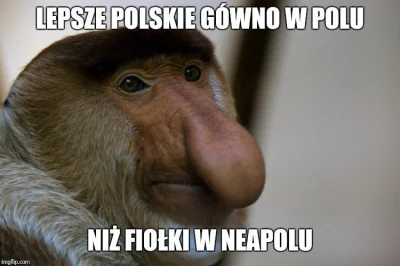 panpopo - Właśnie wracam z galerii handlowej u mnie w mieście, pustki jakby była 8 ra...