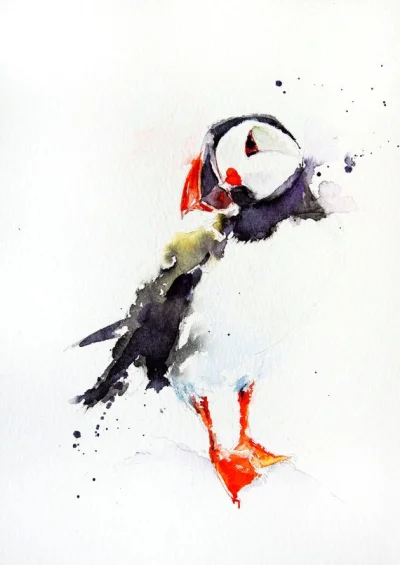 malakropka - #art #sztuka #malarstwo #akwarela #watercolor #ptaki
autorka: Jen Buckl...
