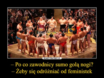 leon81 - Dlaczego zapaśnicy sumo golą nogi? 

-Żeby nikt ich nie mylił z feministka...