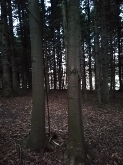 PrayB4Sleep - Chciałbym być z kimś tak blisko jak te dwa drzewa ze sobą.
#feels #zale...