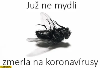 MarianoaItaliano - Dlatego róbcie mydli mydli często ( ͡° ͜ʖ ͡°)
#koronawirus #czesk...