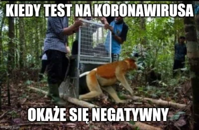 C.....a - #koronawirus #2019ncov #heheszki #humorobrazkowy #polak #nietopesz