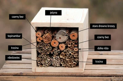M.....e - Propozycje materiałów, z których można robić gniazda dla pszczół.