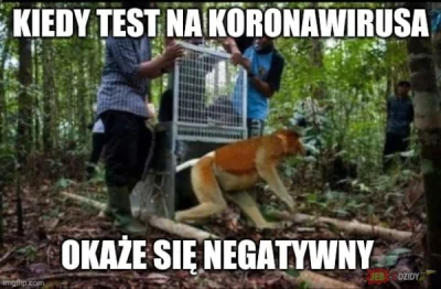 LegionPL - #konkursnanajbardziejgownianymemznosaczem 

kradzione ale nie mogłem się...