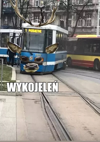 Zabojcza_Rozowa - #wroclaw #100wykolejonychtramwajow #heheszki #humorobrazkowy #memy