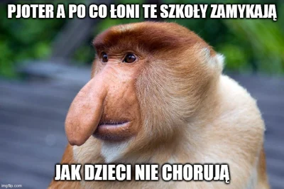 Nirin - #humorobrazkowy #memy #nosaczsundajski #koronawirus #2019ncov