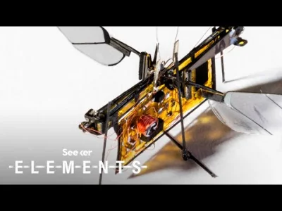 I.....u - pierwszy w pełni autonomiczny owad-robot RoboFly
#ciekawostki #technologia...