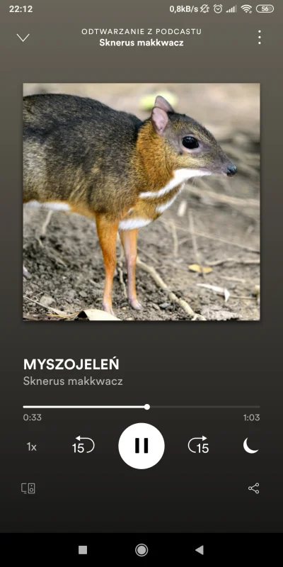 Falcon999 - Myszojelenia można słuchać już na #spotify xD