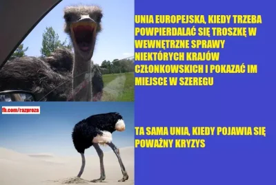 P.....0 - #koronawirus #uniaeuropejska