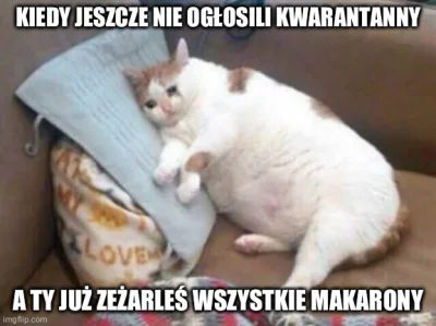 Niemaszracj_idioto - #heheszki #smiesznekotki 
#koronawirus