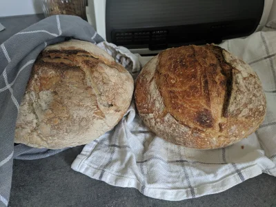 BishKopt - prepper bread :)
#gotujzwykopem
#polakmadryprzedszkoda