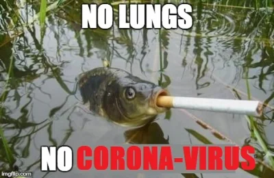 RunTheGauntlet - No lungs, no corona! #coronavirus #truestory #memy #heheszki #korona...