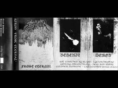 Hav0c - Szron - Frost Eternal
#blackmetal