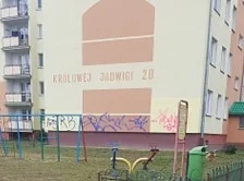 PanPatrykPojechalNaBiwak - @DulGukat: Przecież to są artyści ( ͡° ͜ʖ ͡°)