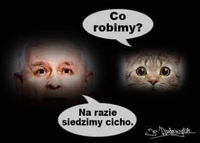 rbk17 - Oby Kaczyński nie umarł na #koronawirus bo pisowskie media od razu ogłoszą że...