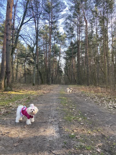 wyk00p - tak ludziska tutaj na wykopie narzekają że nie można znaleźć ustronnego miej...