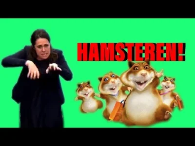 Pomagier - Hamsteren w języku migowym: 

https://youtu.be/-cuP6ntds4g 

#holandia