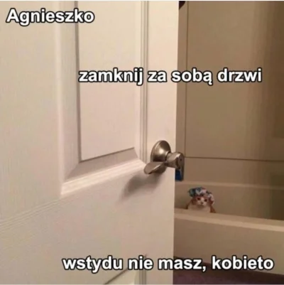 p.....a - #heheszki #humorobrazkowy #koty