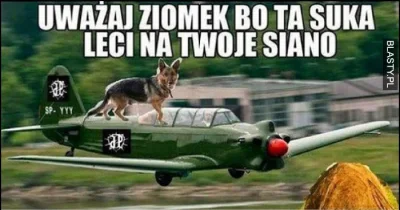 wszyscy - Mirkowie, prawilnie przypominam! #heheszki #humorobrazkowy #byloaledobre