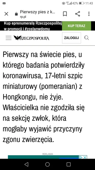 M.....z - #koty #psy #kociara #bekazpodludzi #koronawirus 

To już się robi jakieś wy...