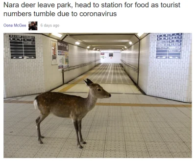 Jan0l - @susuke15: https://soranews24.com/2020/03/13/nara-deer-leave-park-head-to-sta...