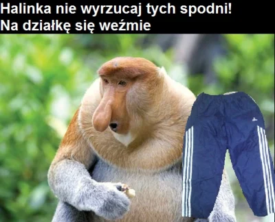 SzycheU - "koło domu będą"
#janusze #heheszki #polak #nosaczsundajski