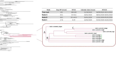 silentpl - Poczytałem tego PDFa.

Our data suggest that SARS-CoV-2 virus entered No...