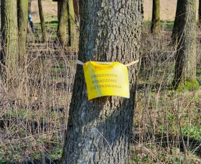 starnak - #humor #drzewo #urzadzenie #ciekawostki