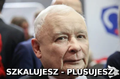 StaryWilk - #bekazpisu #polityka #koronawirus #2019ncov #wybory #wyboryprezydenckie20...